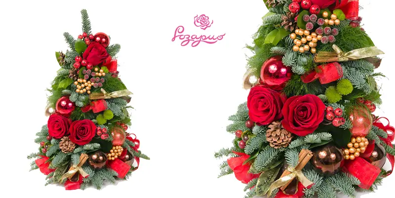 Живая новогодняя ель