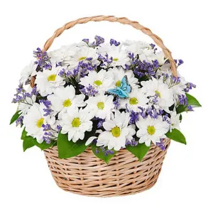 Воспоминания