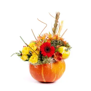 Девочка луна